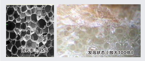 彩神vll·(中国)官方网站 - 手机版APP下载